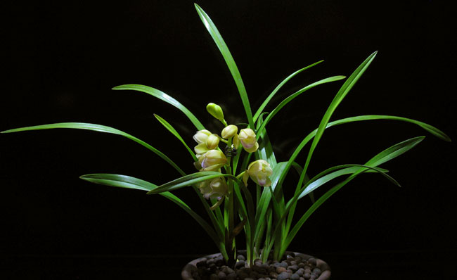 42a98226cffc1e17cd9903914a90f603738de968-responsive 42a98226cffc1e17cd9903914a90f603738de968