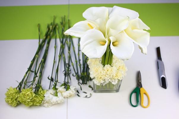 马蹄莲 来源 www.zcool.com.cn 马蹄莲 来源 www.zcool.com.cn