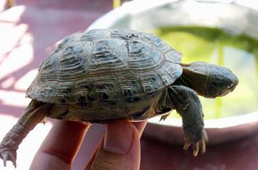 微信图片_20190304133657