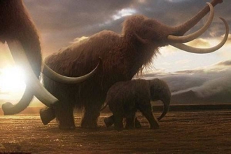 复活猛犸象有希望了？