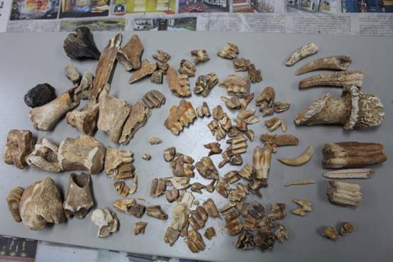 微信图片_20190125160941