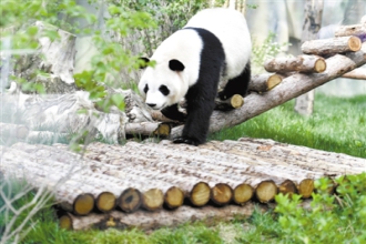 国宝首次“定居”青藏高原