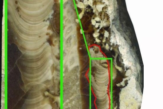 W020200316496759775436.jpg