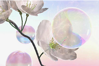 微信截图_20200705175014.png