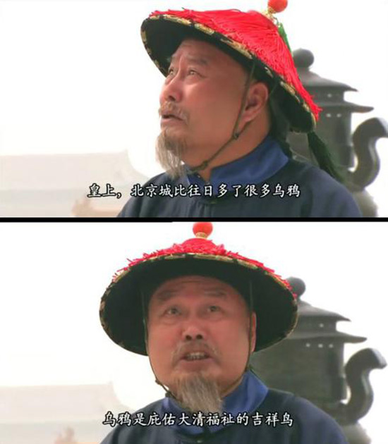 清朝为什么把乌鸦当成圣鸟？