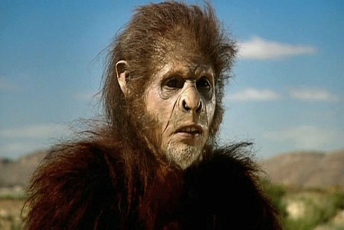 446f297c4041feb12038a