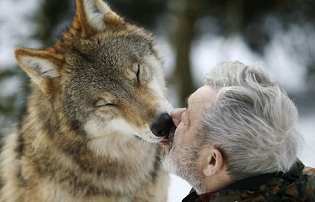 0026c6701820127069990c