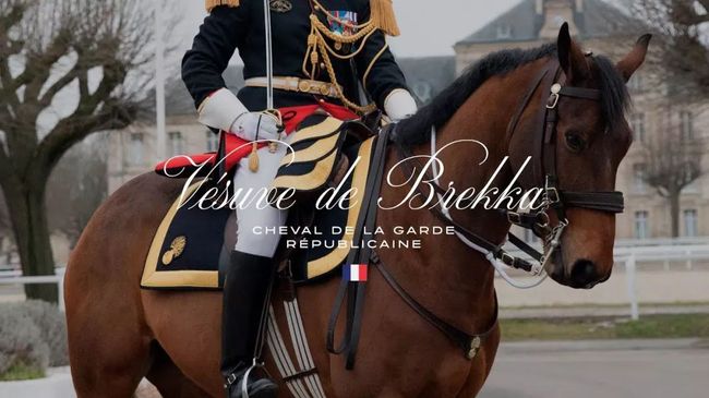 7BB04CC98409020848F857B582D29DC06575242F_size98_w1080_h608