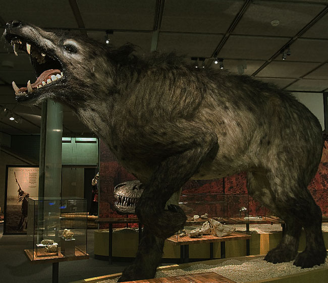 08b68e52c865ab450cf3e3b0